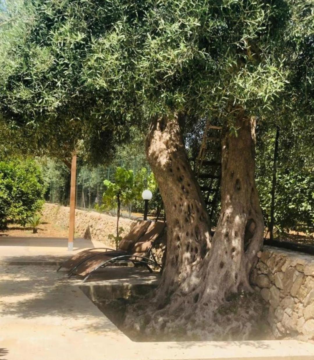 Apartament Sicilian Garden Avola Zewnętrze zdjęcie